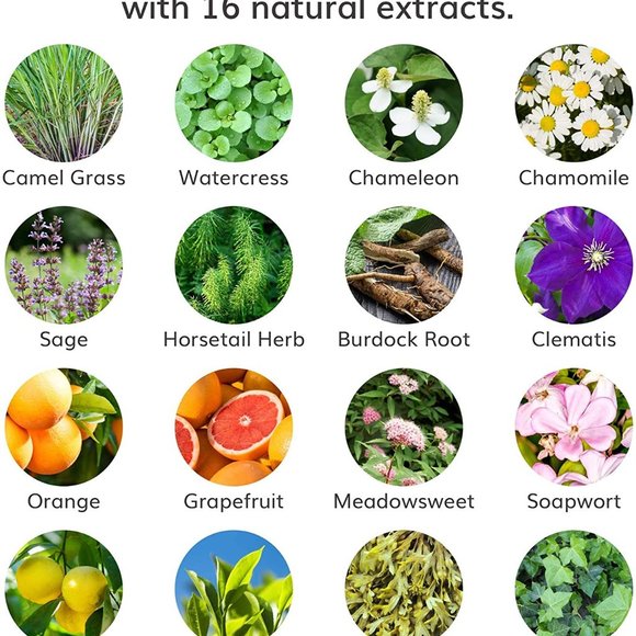 *Sold* Baby Foot Exfoliating Foot Booties for Peel 2.4 fl oz New sealed Box - Picture 16 of 16